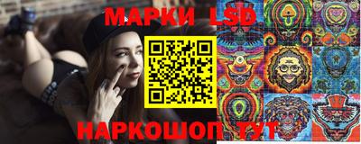 стафф Будённовск