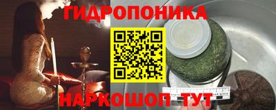 стафф Будённовск