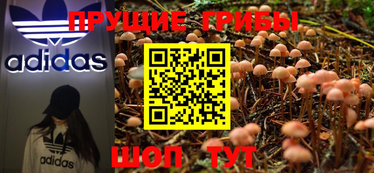 Славянск-на-Кубани  Псилоцибиновые грибы Psilocybe  Вход с VPN 